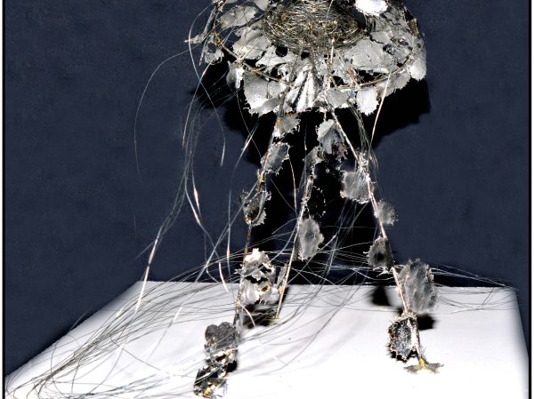 foto (c) Walter Willem