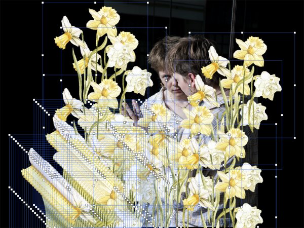 Wild Narcissus © Kaat Pype