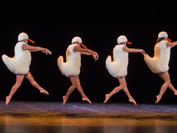 Chicos Mambo - Tutu (foto: Michel Cavalca)