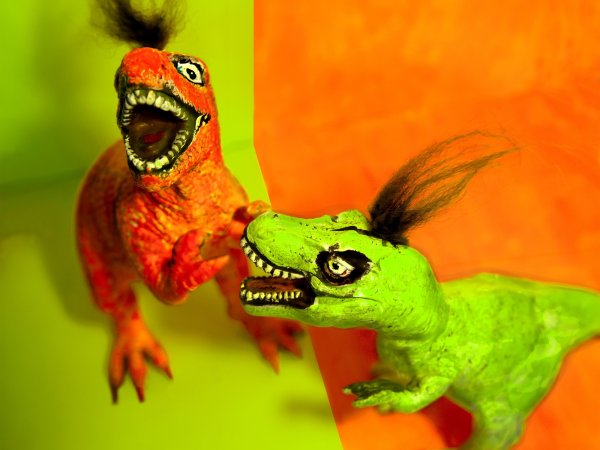 POP-UP - Hanneke Paauwe & De Studio (foto © Maaike Buys)