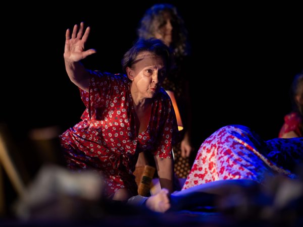 Basiscursus vertellen - Veerle Ernalsteen © Christophe Ketels