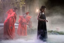 (c) Kurt Van der Elst