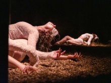 (c) Kurt Van Der Elst