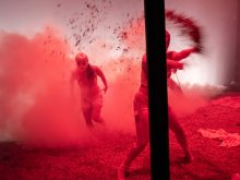 (c) Kurt Van Der Elst