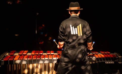 Marimbros // From Screen to Stage - Het Internetfenomeen Live