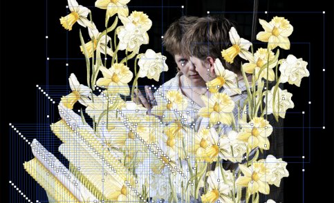 Wild Narcissus © Kaat Pype