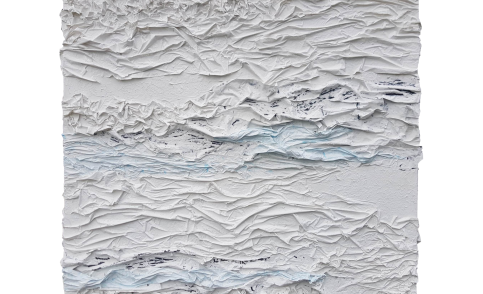 Plastic Ocean © Ann Raphaëlle Vervoenen